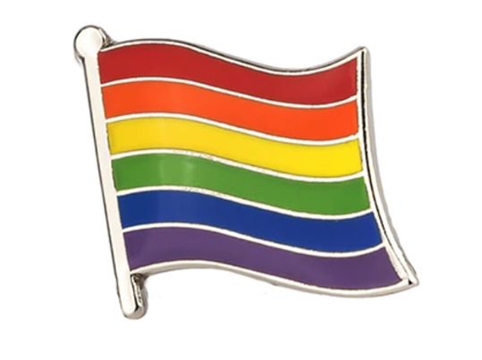 Flag Pins | Little Pride Pin Shop